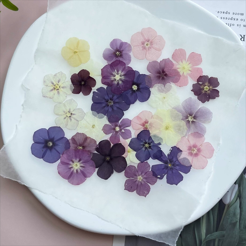 12 шт., полупрозрачные нишевые – обзор и цена Resin Art Liquid